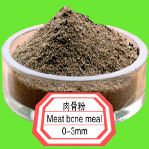 Meat bone meal