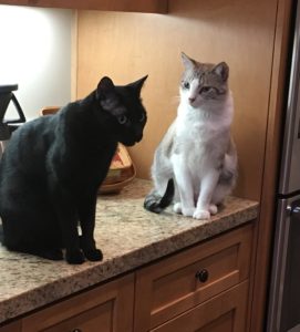 Oscar and Max