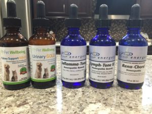 Lili's herbal blends and homeopathy