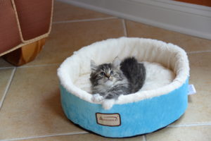 Cat Bed PH-12HTL/MB