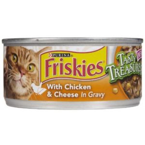 Poor quality cat food ingredients can cause skin problems in cats