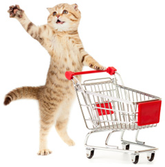 Why you should reconsider buying your cat food at the grocery store. 