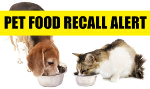 Cats and dogs deaths are linked to toxic ingredients in pet food