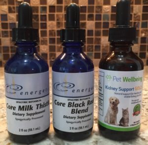Herbal formulas are used to naturally detox your cat's liver if enzymes are elevated.