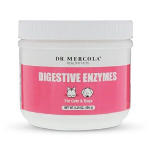 Digestive enzymes are essential for cats with pancreatitis
