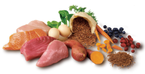 Meats, fruits, vegetables and grains used in cat food