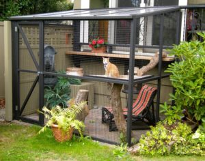 Build your indoor kitty a catio!