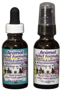 Flower essences can help resolve feline behavior problems