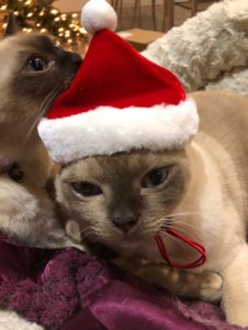 'Twas the night before Christmas poem