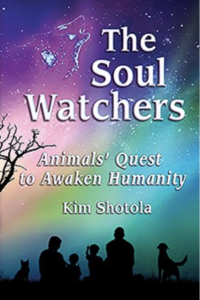 The Soul Watchers