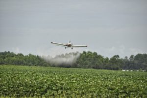 glyphosate herbicide is sprayed on crops