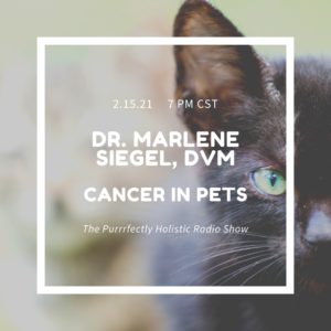 Cancer in pets