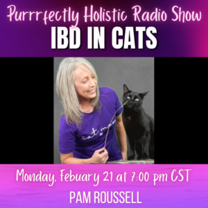 IBD in cats