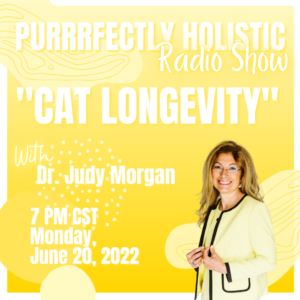 feline longevity