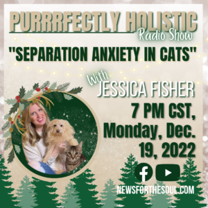 Separation anxiety in cats