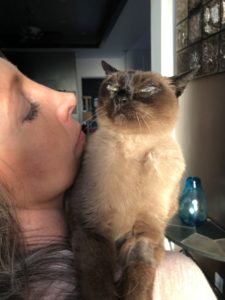 tribute to cat