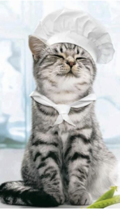 Guide to feline nutrition