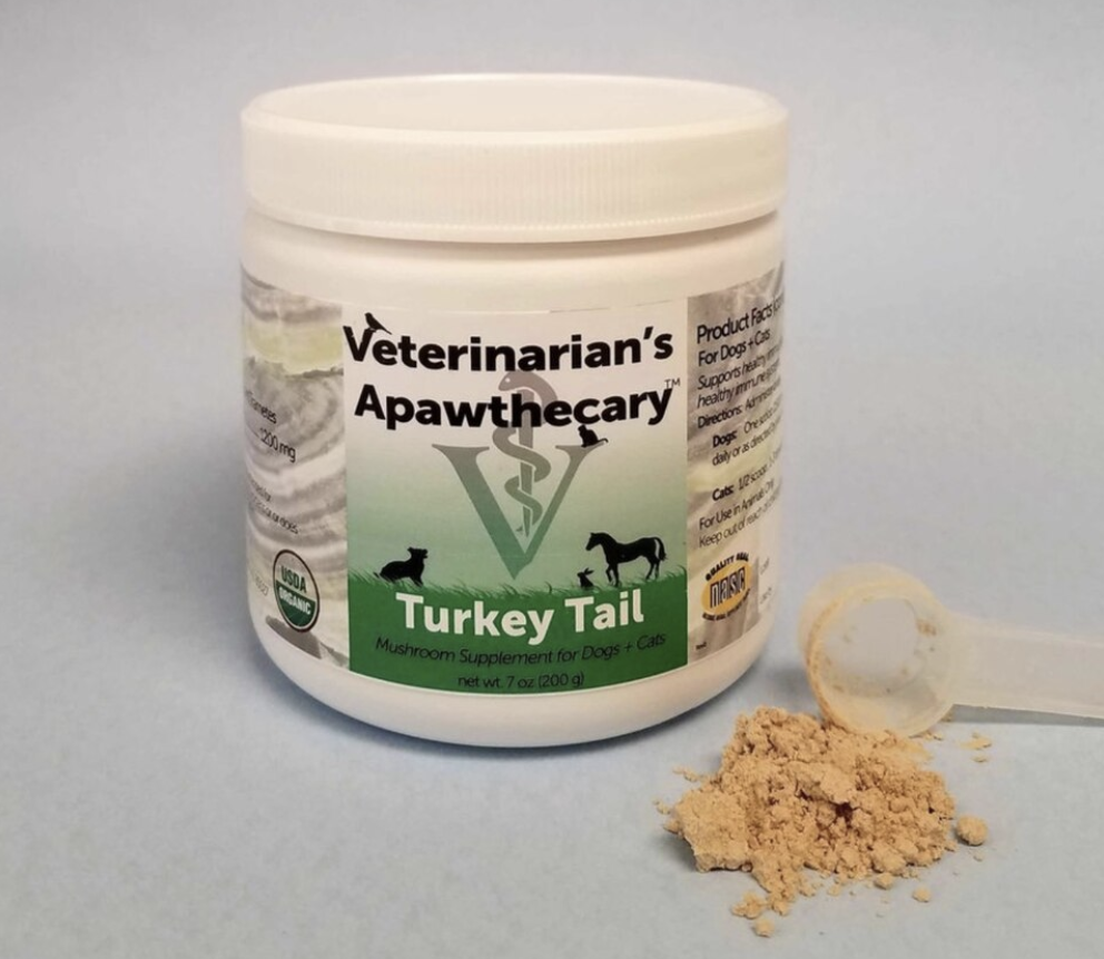 Holistic Support For Feline Herpes Virus 1 Purrrfectly Holistic...a