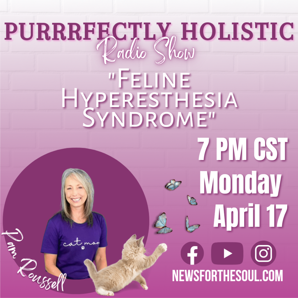 feline hyperesthesia syndrome