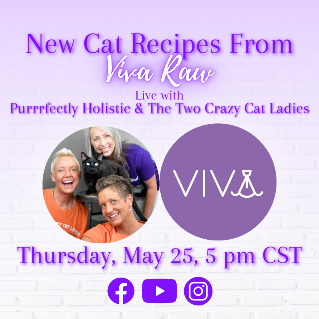 Viva Raw cat food