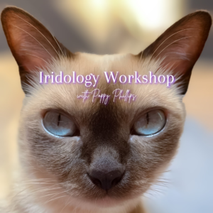 Iridology workshop