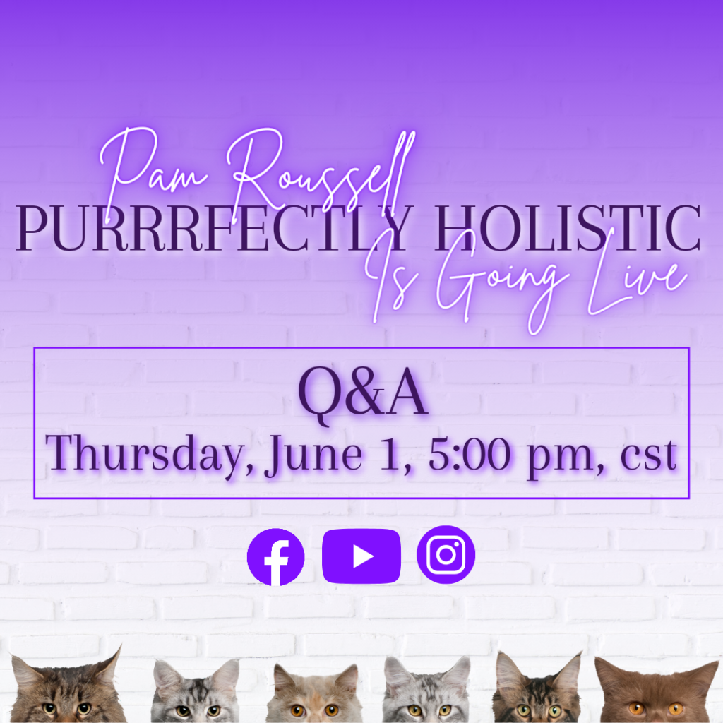 holistic cat health