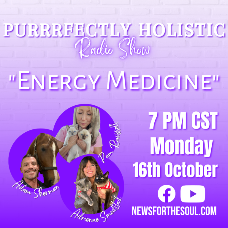 Energy Medicine Purrrfectly Holistic Purrrfectly Holistic energy-medicine-purrrfectly-holistic-purrrfectly-holistic