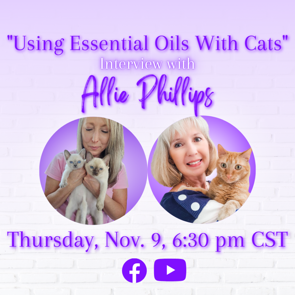 essential oils with cats