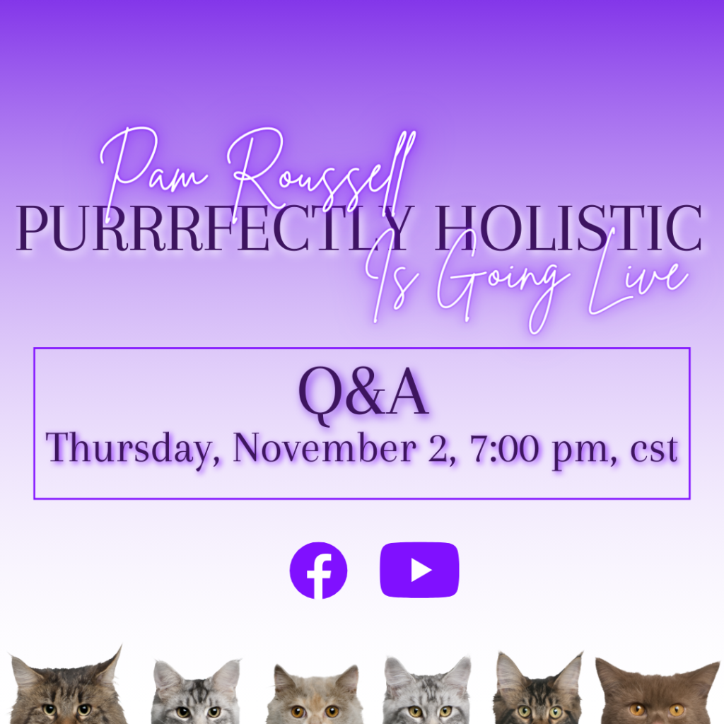 holistic cat health