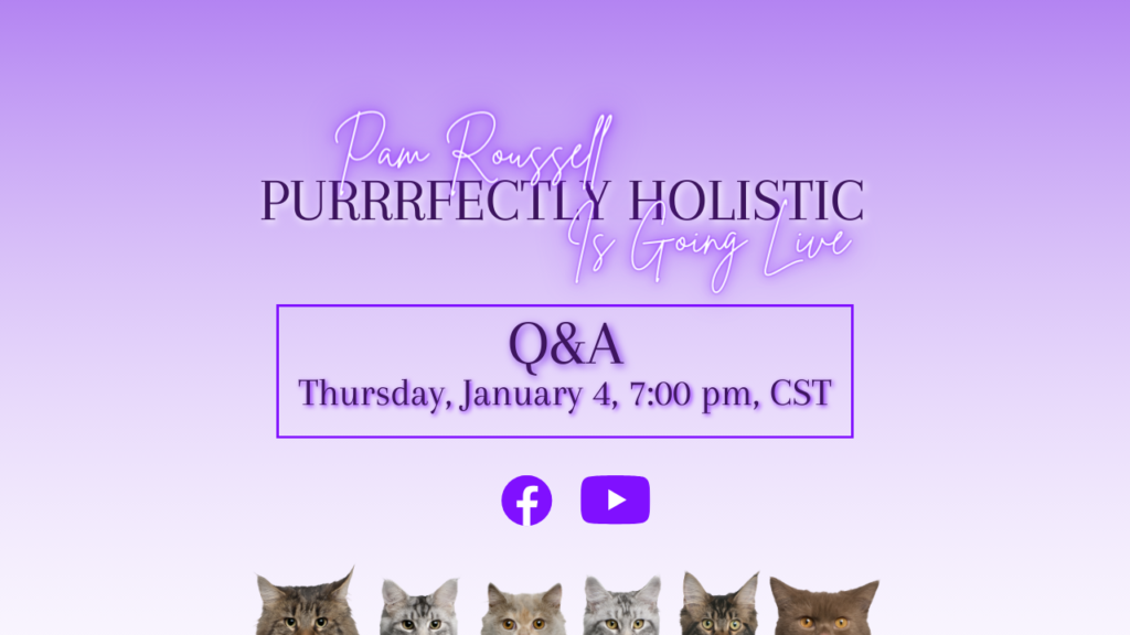 holistic cat care