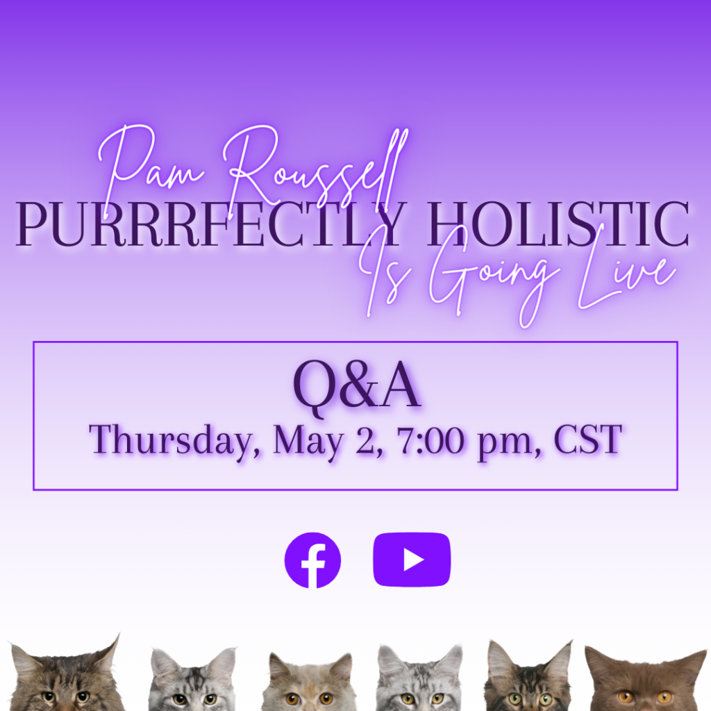 holistic cat care