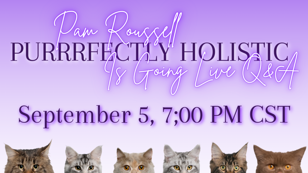 cat health and wellness