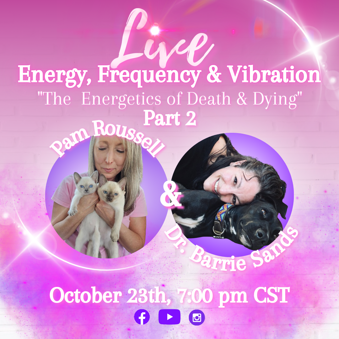 How Do You Know When It's Time To Say Goodbye? Purrrfectly Holistic