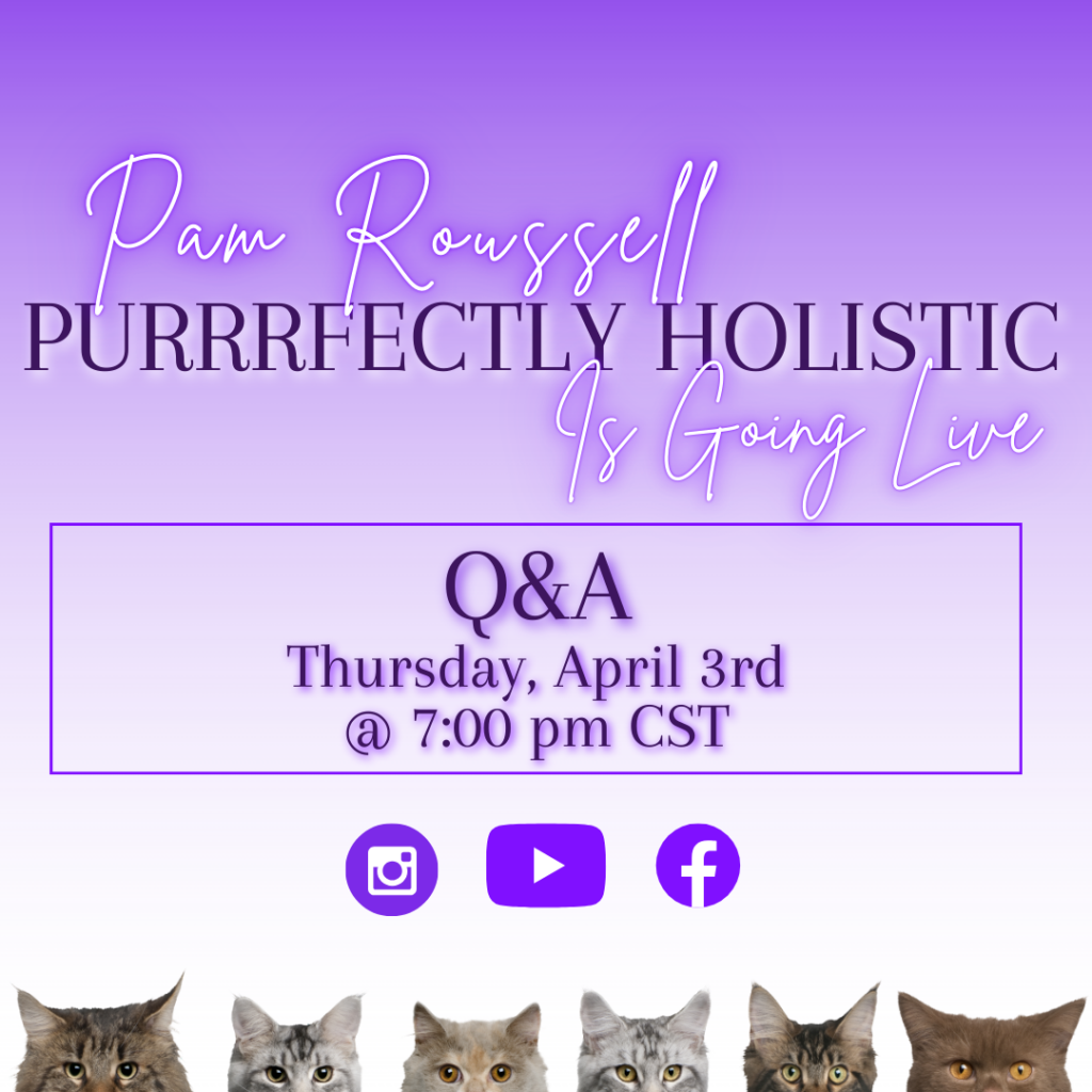 holistic cat care