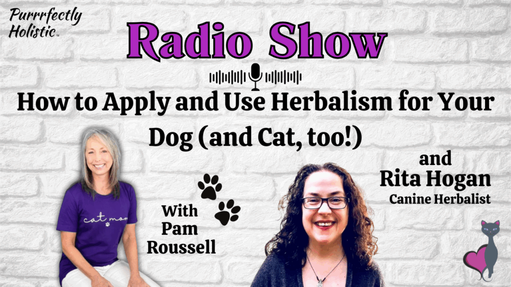 herbalism for pets