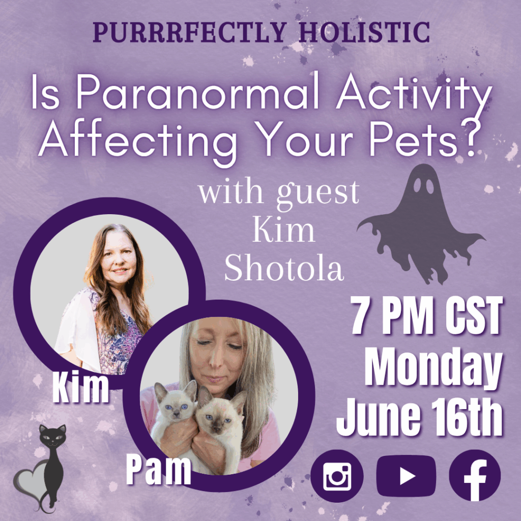 paranormal activity and pets