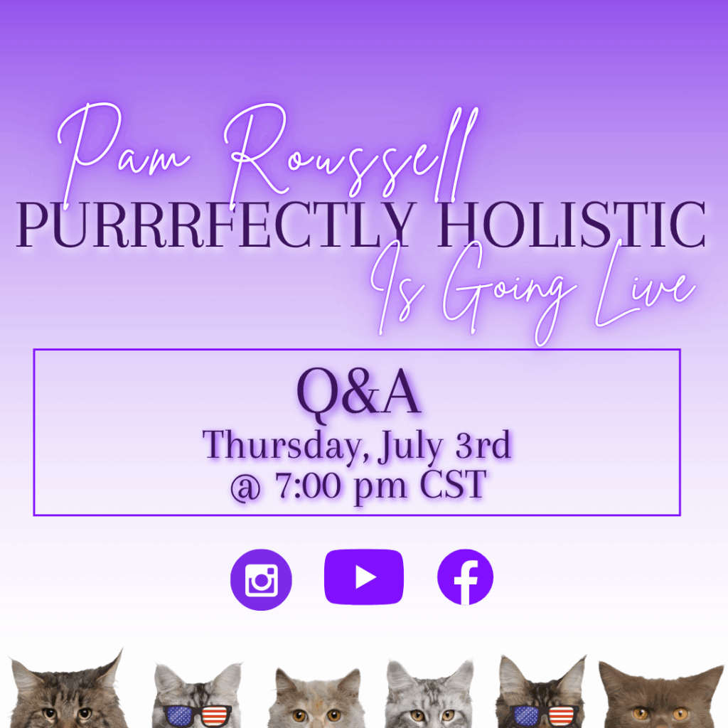 holistic cat care