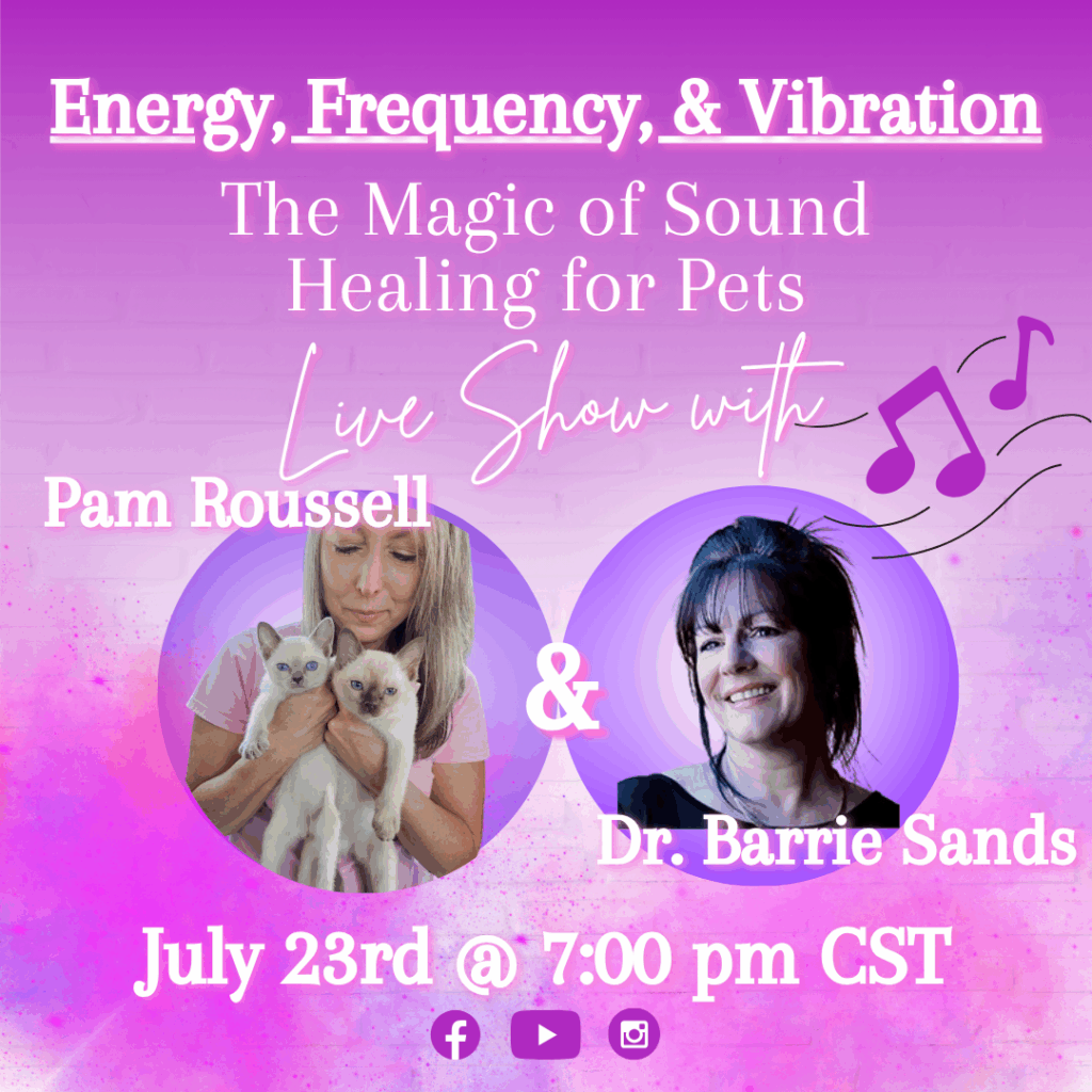 sound healing for pets
