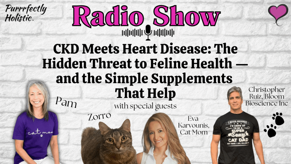 feline heart disease