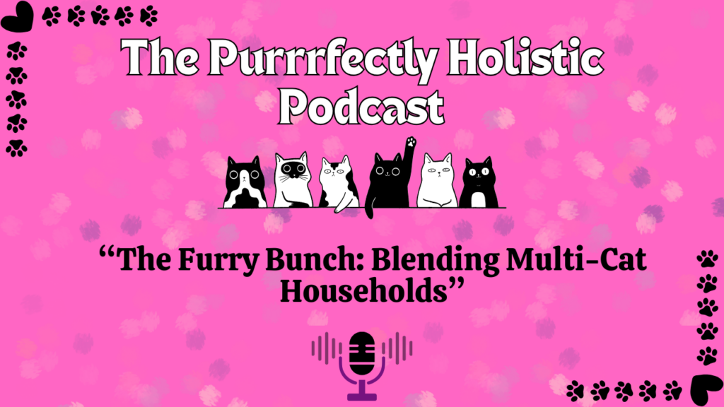 multi-cat households