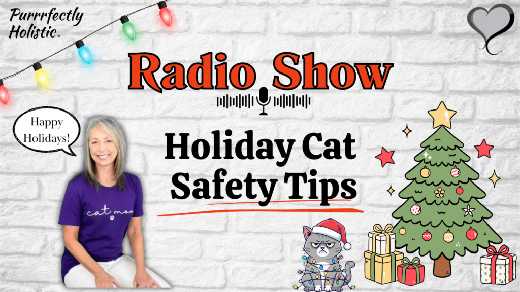holiday safety for cats