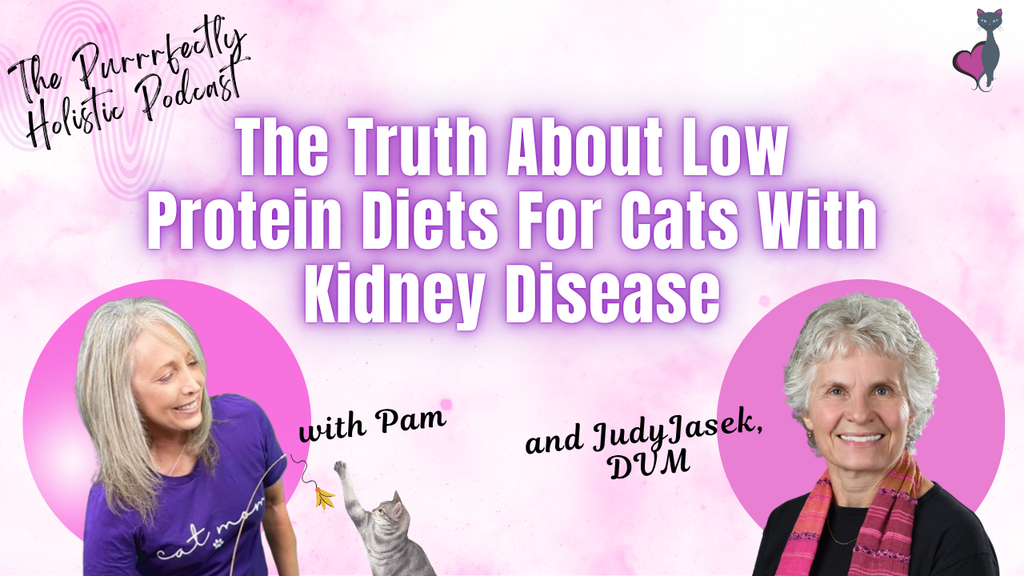 low protein diets for cats with kidney disease